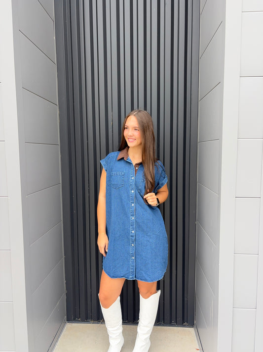 Contrast Collar Button Down Dress