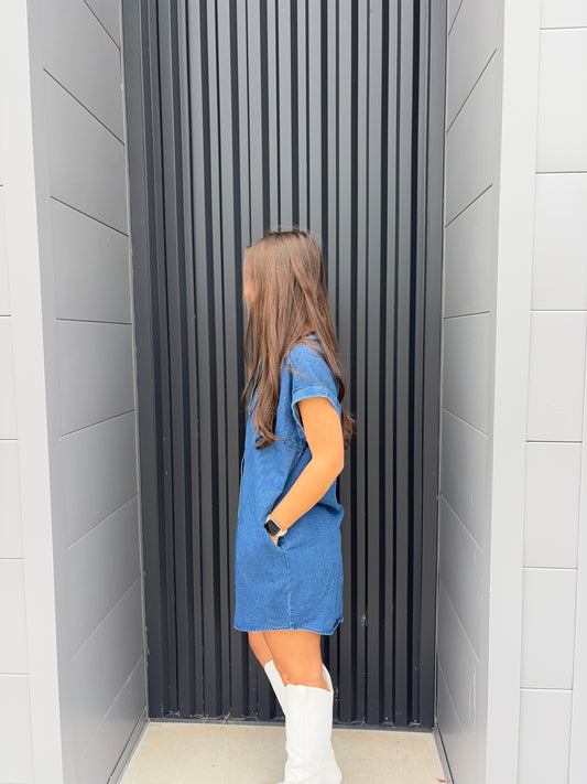 Contrast Collar Button Down Dress